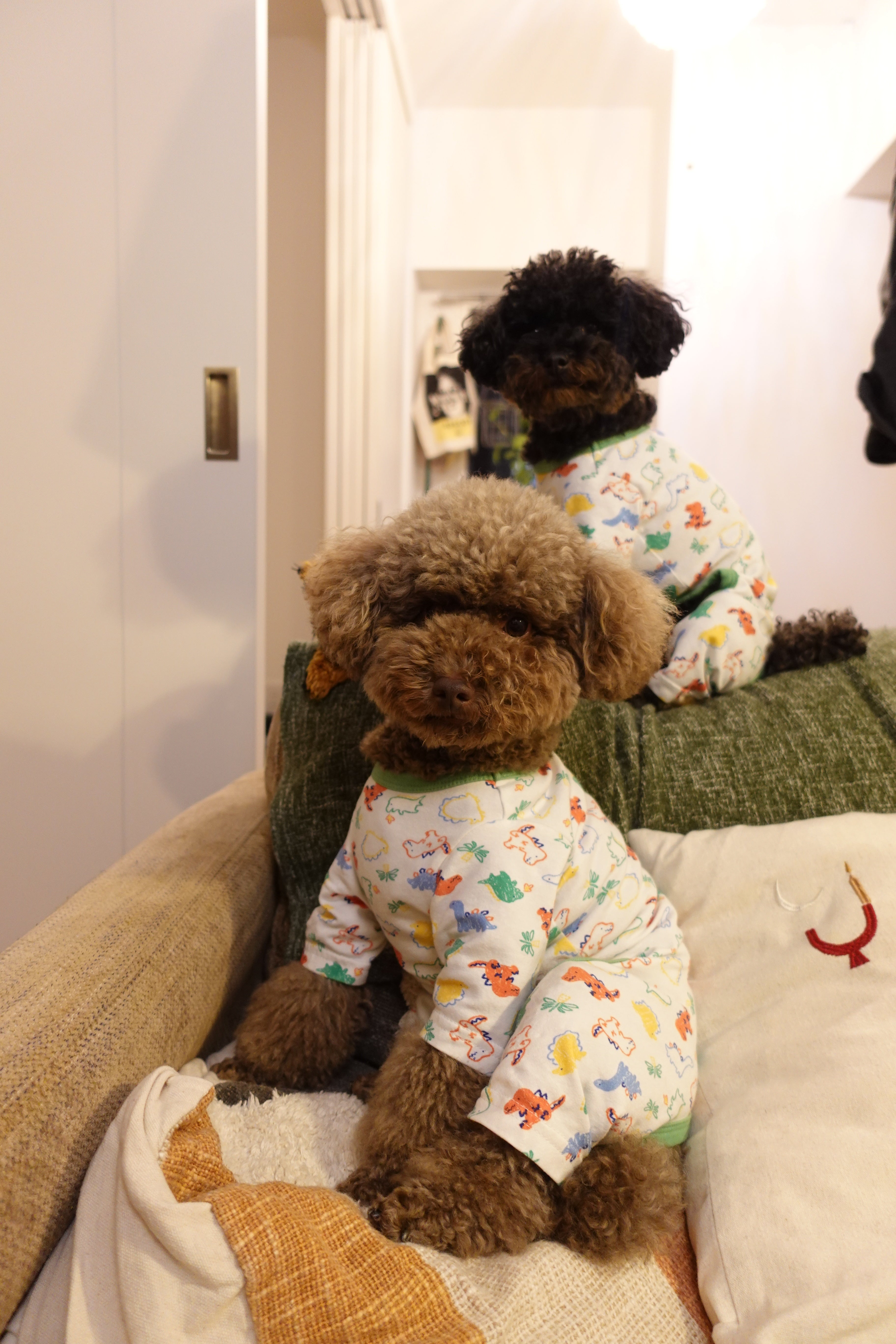 犬 恐竜柄ロンパース【FABOGNI(ファボンニ)】Cotton Rompers (dinosaur