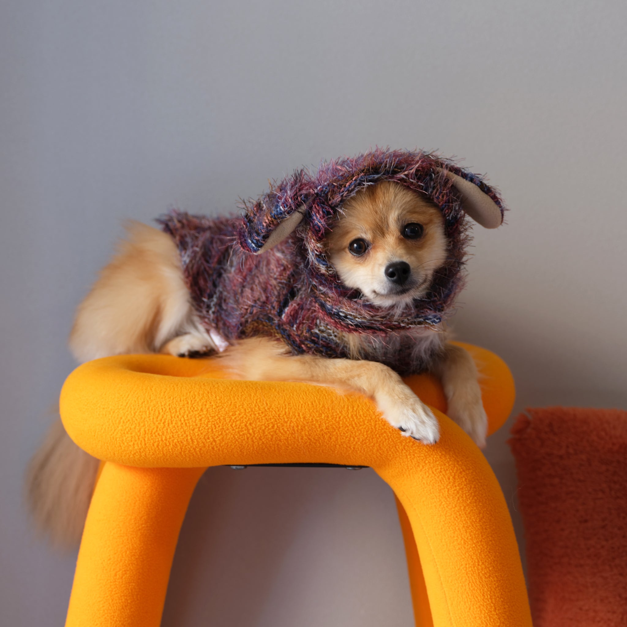 5%OFF】Shaggy Knit - Wine red – FABOGNI