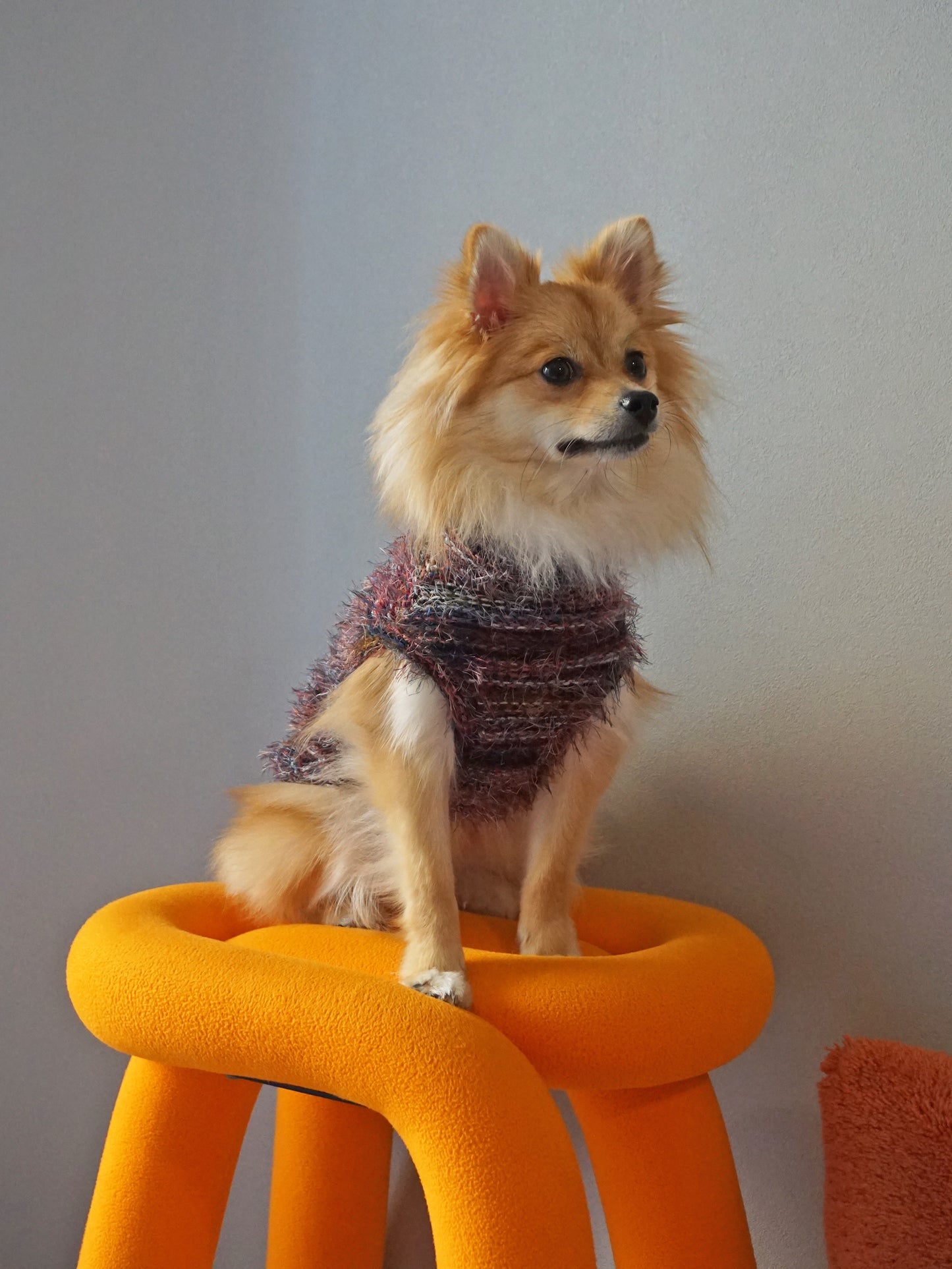 Shaggy Knit - Wine red