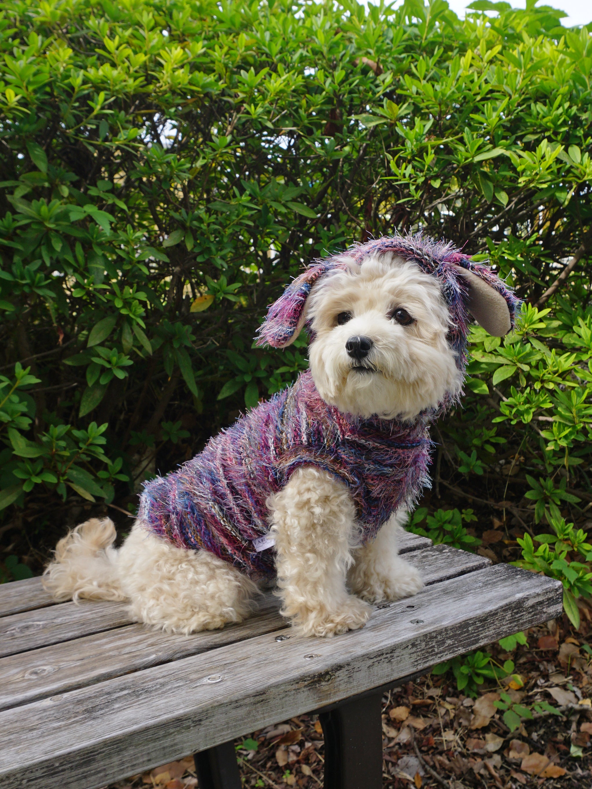 5%OFF】Shaggy Knit - Wine red – FABOGNI