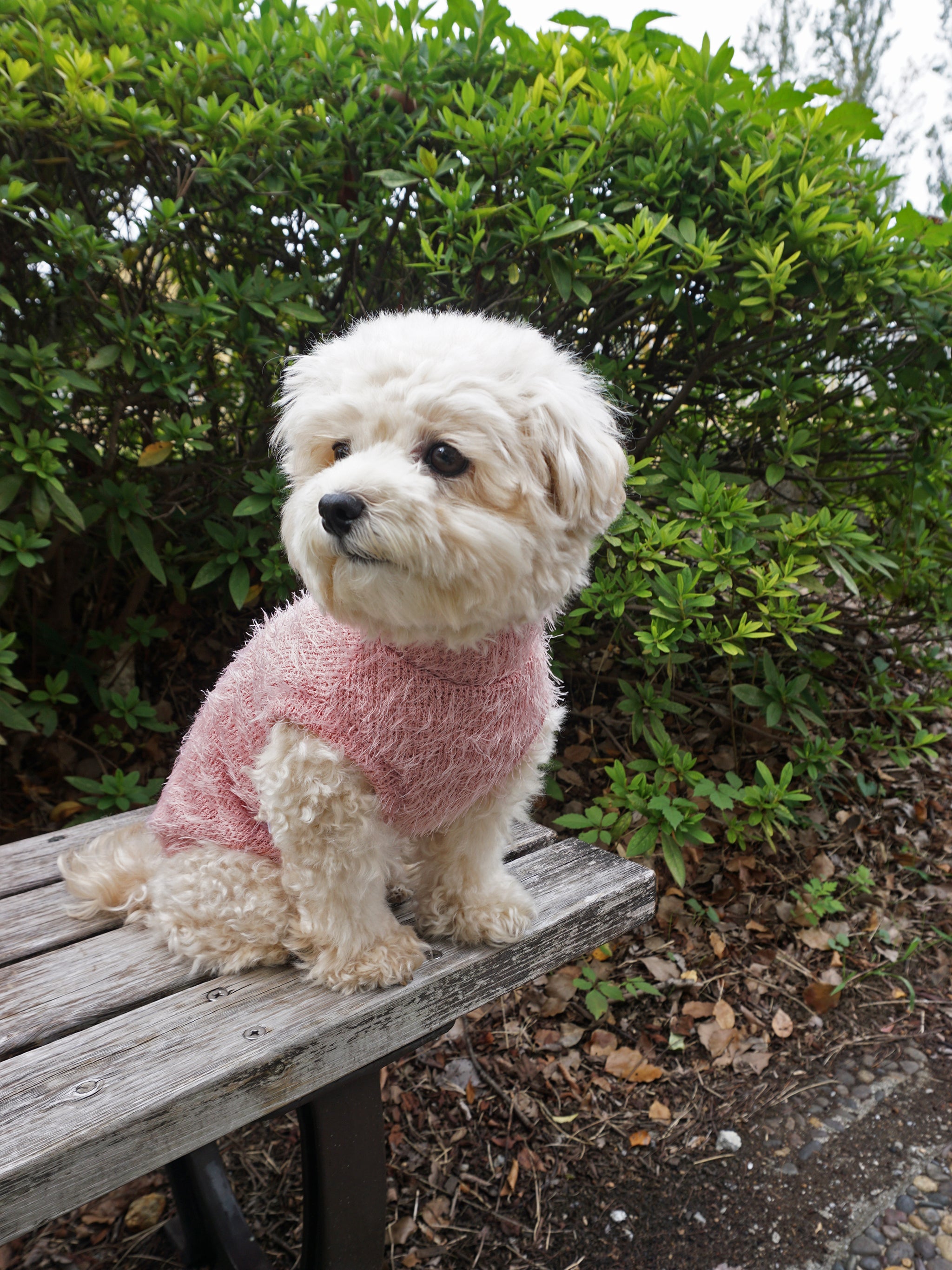 専用 Riu One shoulder shaggy knit ピンク Rちゃん Riu One shoulder shaggy knit ピンク Rちゃん - メルカリ