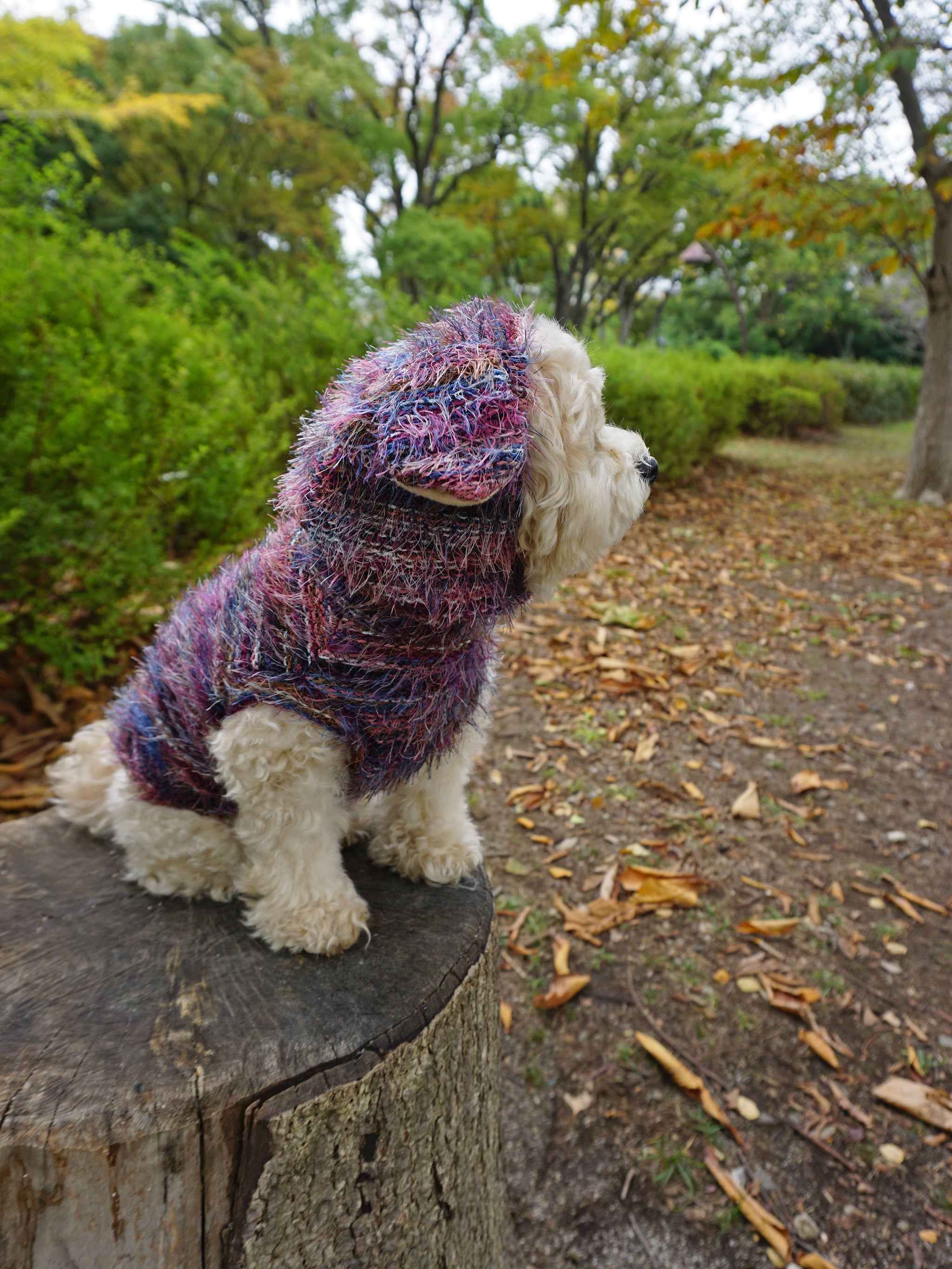 5%OFF】Shaggy Knit - Wine red – FABOGNI