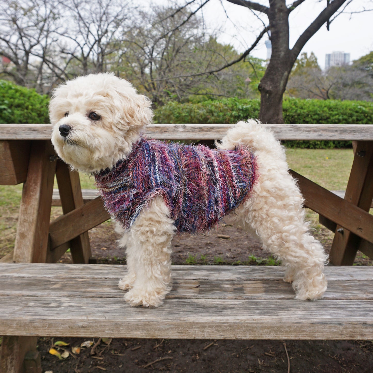 Shaggy Knit - Wine red