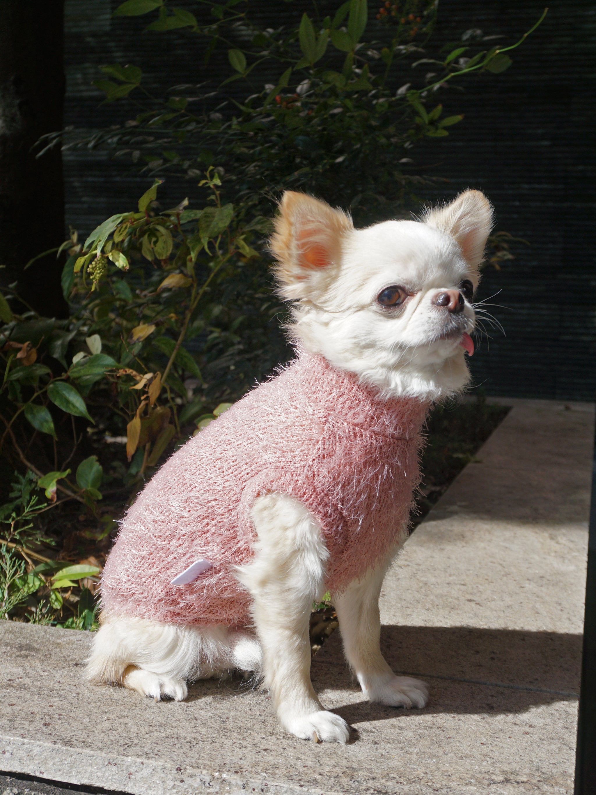 5%OFF】Shaggy Knit - Pink – FABOGNI