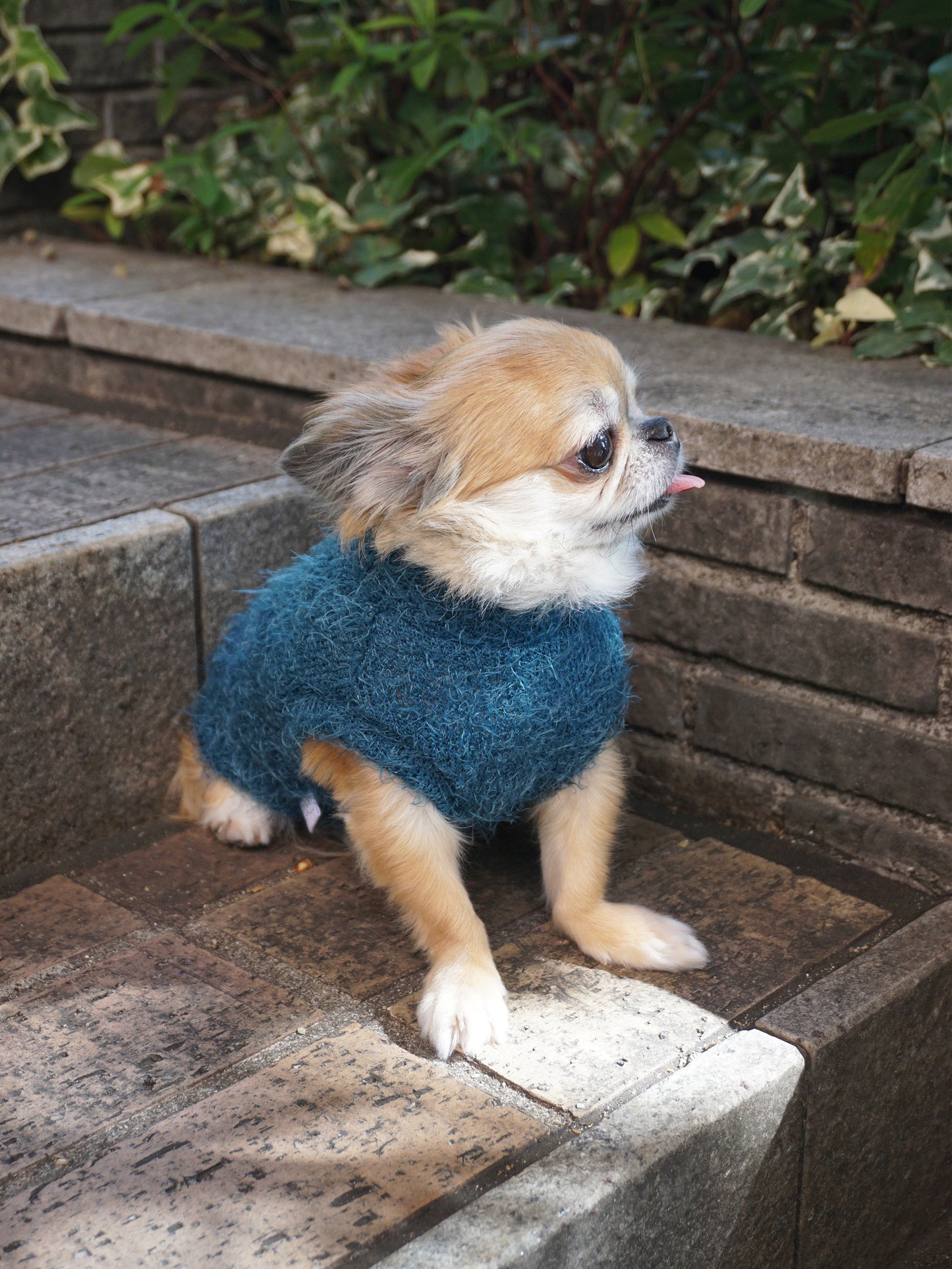 Shaggy Knit - Blue
