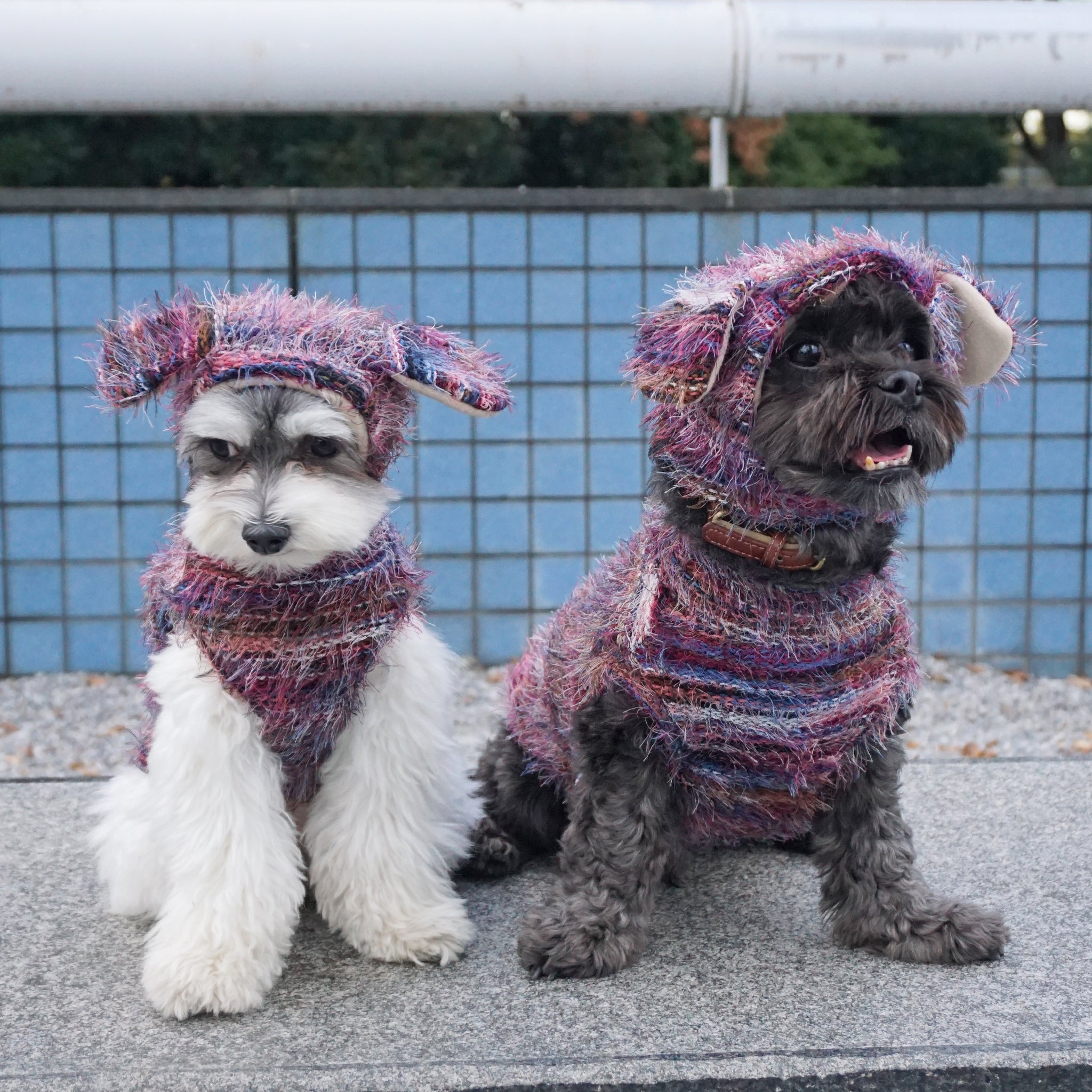 5%OFF】Shaggy Knit - Wine red – FABOGNI